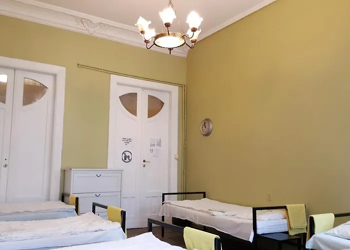 بيت شباب Witt