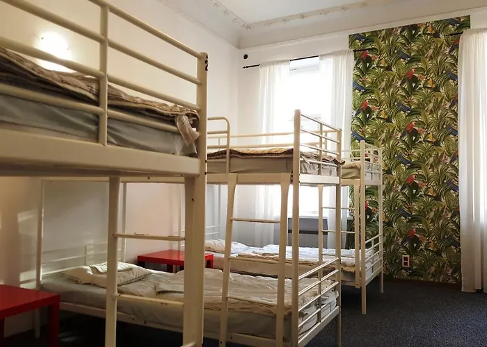 Witt * Варшава