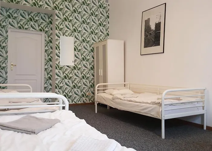 بيت شباب Witt