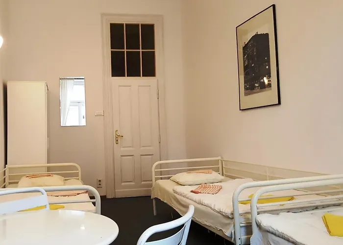 بيت شباب Witt